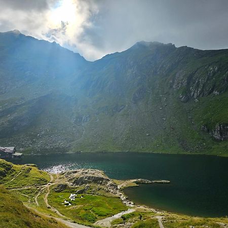 Апартаменти Casa Oaspeti Transfagarasan Кирцишоара Екстер'єр фото