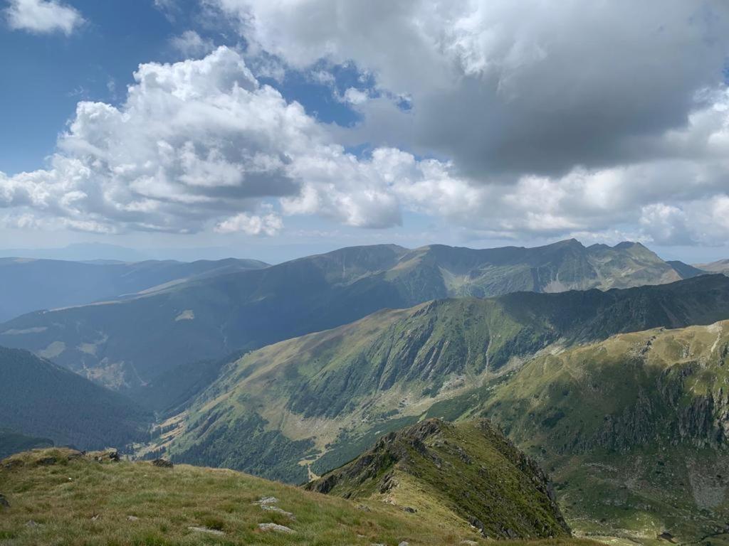 Апартаменти Casa Oaspeti Transfagarasan Кирцишоара Екстер'єр фото