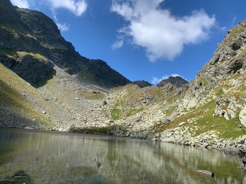 Апартаменти Casa Oaspeti Transfagarasan Кирцишоара Екстер'єр фото