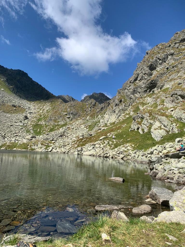 Апартаменти Casa Oaspeti Transfagarasan Кирцишоара Екстер'єр фото