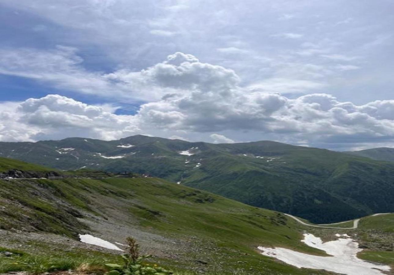 Апартаменти Casa Oaspeti Transfagarasan Кирцишоара Екстер'єр фото